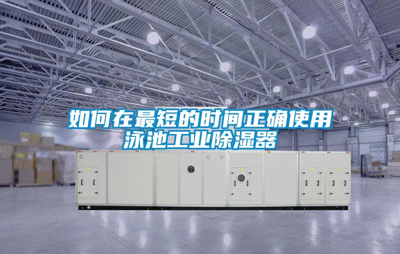 如何在最短的時間正確使用泳池工業除濕器