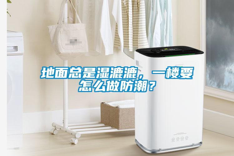 地面總是濕漉漉，一樓要怎么做防潮？
