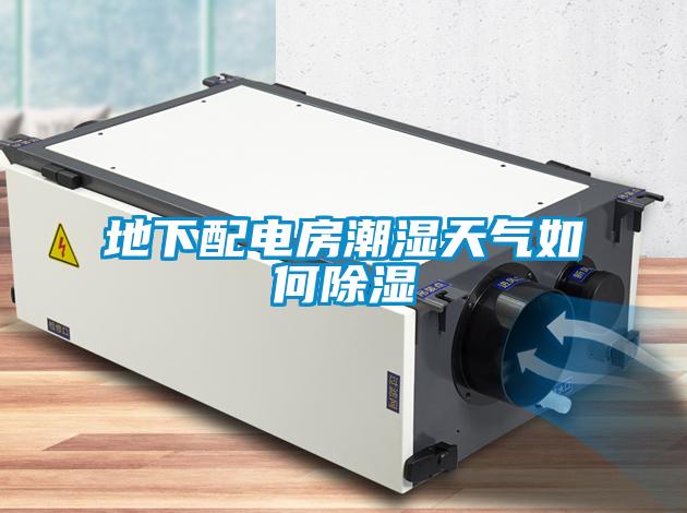 地下配電房潮濕天氣如何除濕
