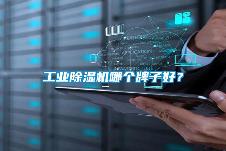 工業除濕機哪個牌子好？