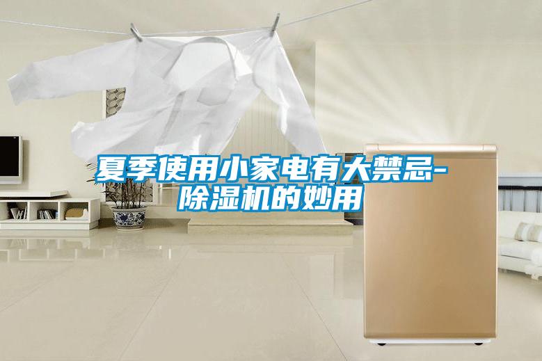 夏季使用小家電有大禁忌-除濕機的妙用