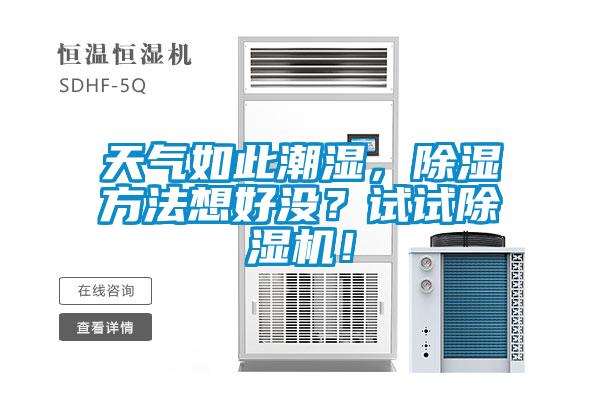 天氣如此潮濕，除濕方法想好沒？試試除濕機！