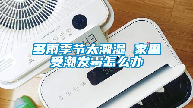 多雨季節(jié)太潮濕 家里受潮發(fā)霉怎么辦
