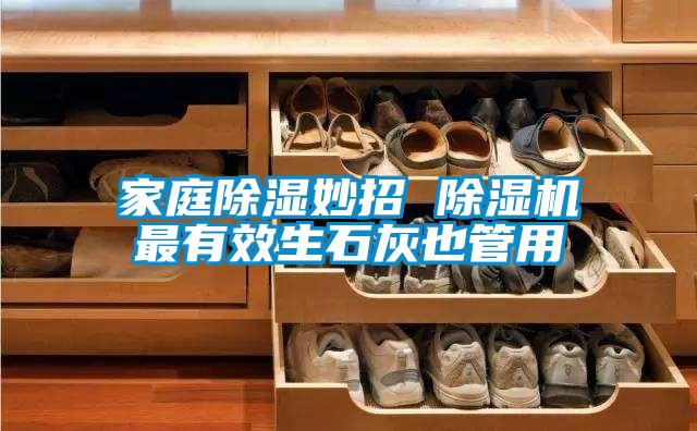 家庭除濕妙招 除濕機最有效生石灰也管用