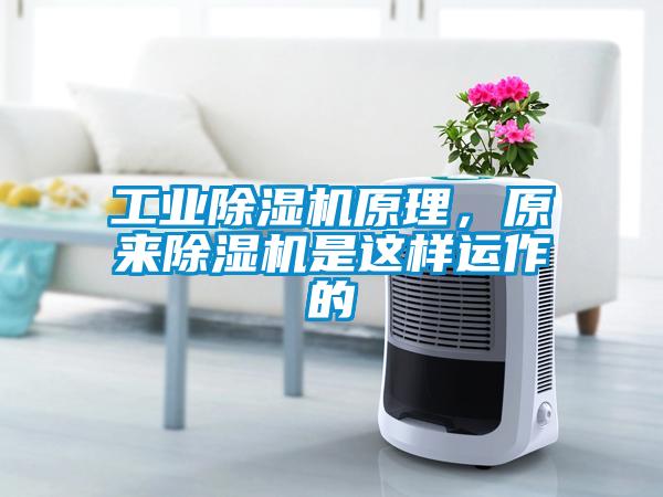 工業(yè)除濕機(jī)原理，原來除濕機(jī)是這樣運(yùn)作的