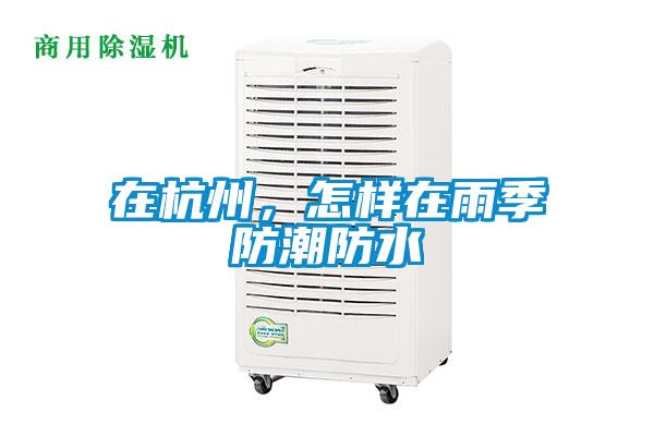 在杭州，怎樣在雨季防潮防水