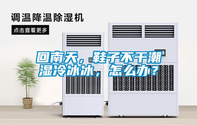 回南天，鞋子不干潮濕冷冰冰，怎么辦？