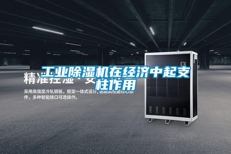 工業除濕機在經濟中起支柱作用