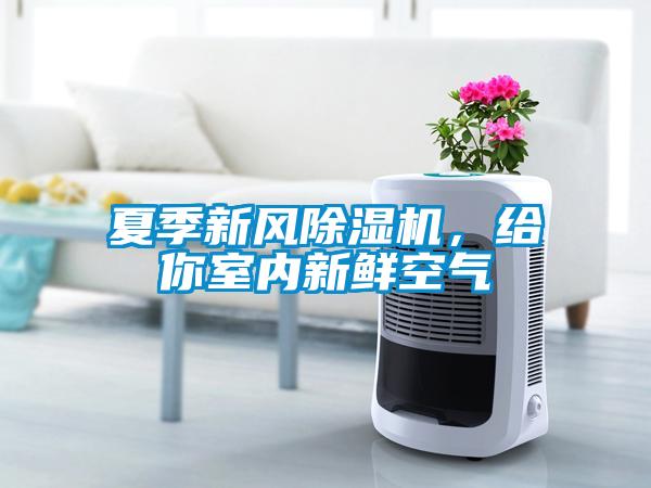 夏季新風除濕機，給你室內新鮮空氣