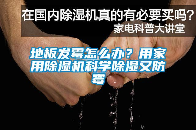 地板發(fā)霉怎么辦？用家用除濕機(jī)科學(xué)除濕又防霉