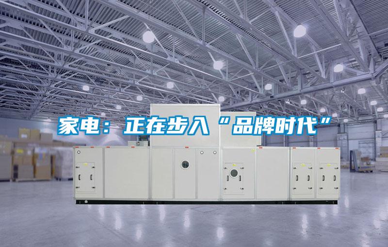 家電：正在步入“品牌時(shí)代”