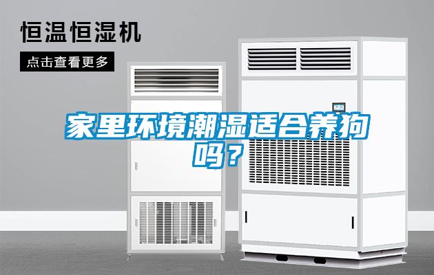 家里環境潮濕適合養狗嗎？
