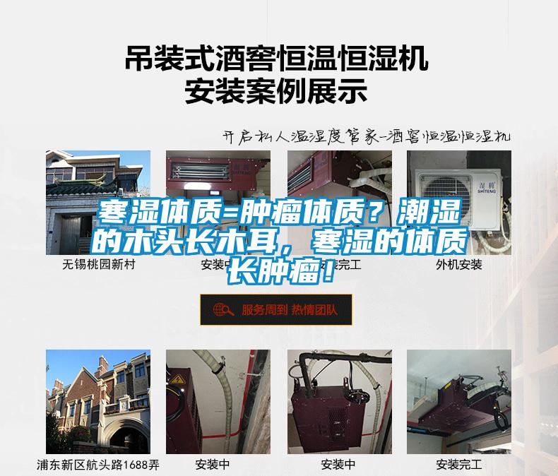 寒濕體質=腫瘤體質？潮濕的木頭長木耳，寒濕的體質長腫瘤！