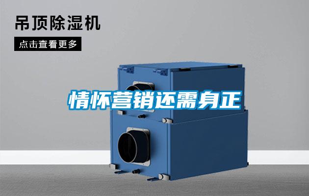 情懷營銷還需身正