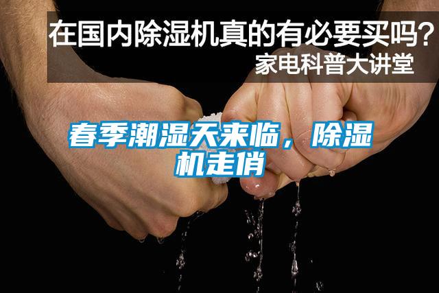 春季潮濕天來臨，除濕機走俏