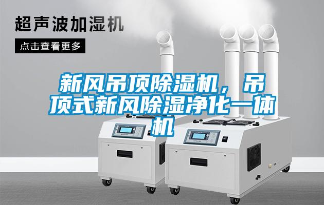 新風吊頂除濕機，吊頂式新風除濕凈化一體機