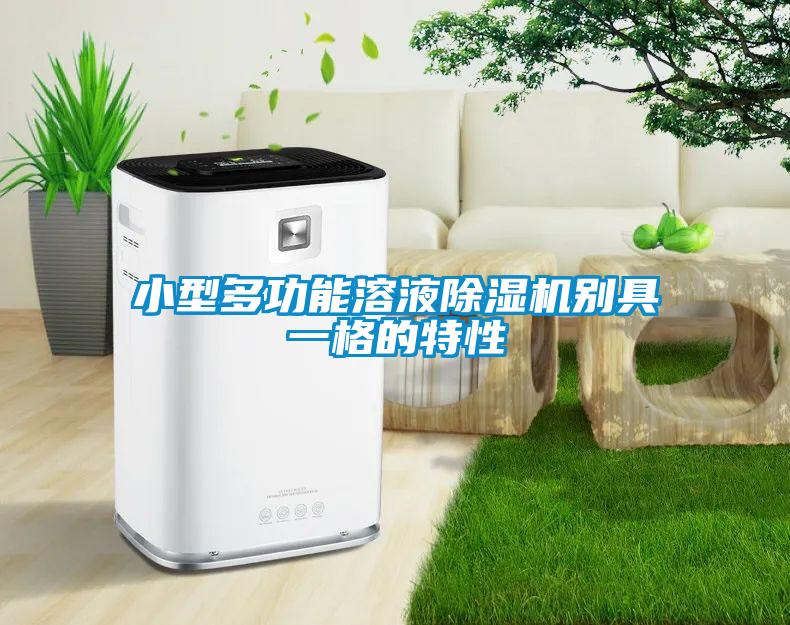 小型多功能溶液除濕機(jī)別具一格的特性