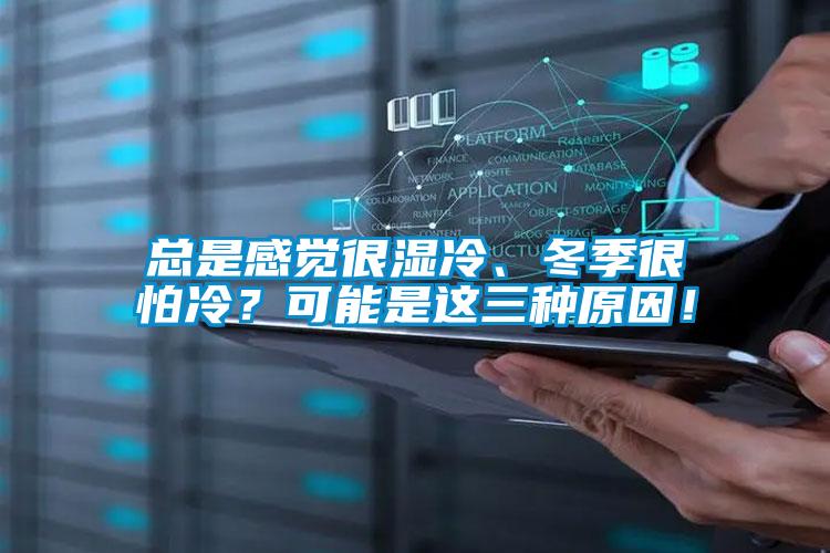 總是感覺很濕冷、冬季很怕冷？可能是這三種原因！