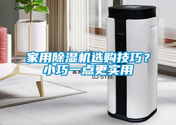 家用除濕機(jī)選購技巧？小巧一點(diǎn)更實(shí)用