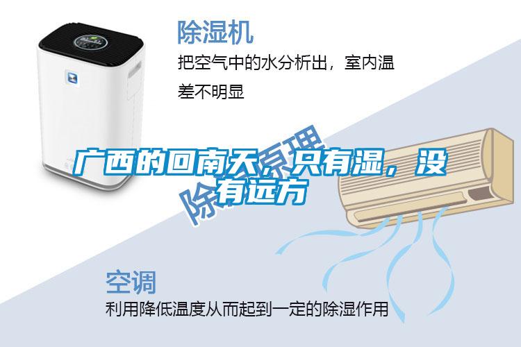 廣西的回南天，只有濕，沒有遠(yuǎn)方