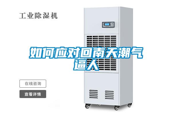 如何應(yīng)對回南天潮氣逼人