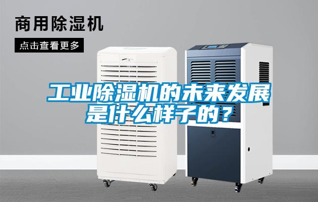 工業(yè)除濕機(jī)的未來(lái)發(fā)展是什么樣子的？