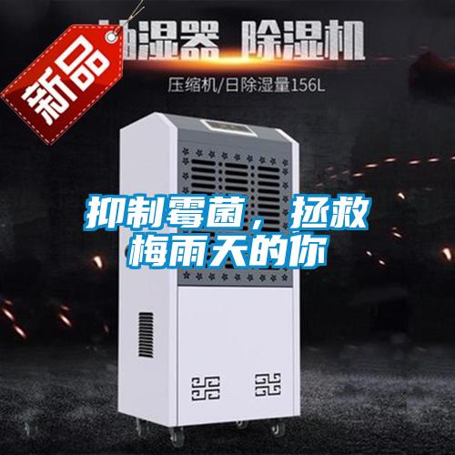 抑制霉菌，拯救梅雨天的你