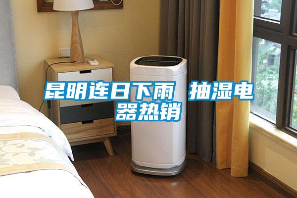 昆明連日下雨 抽濕電器熱銷