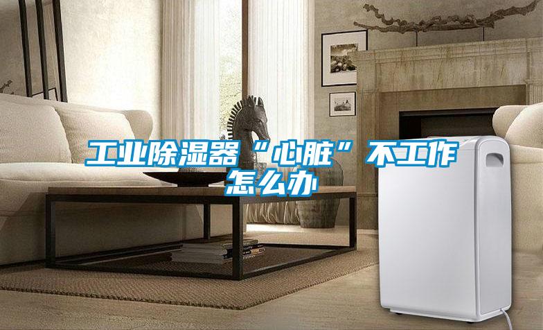 工業除濕器“心臟”不工作怎么辦