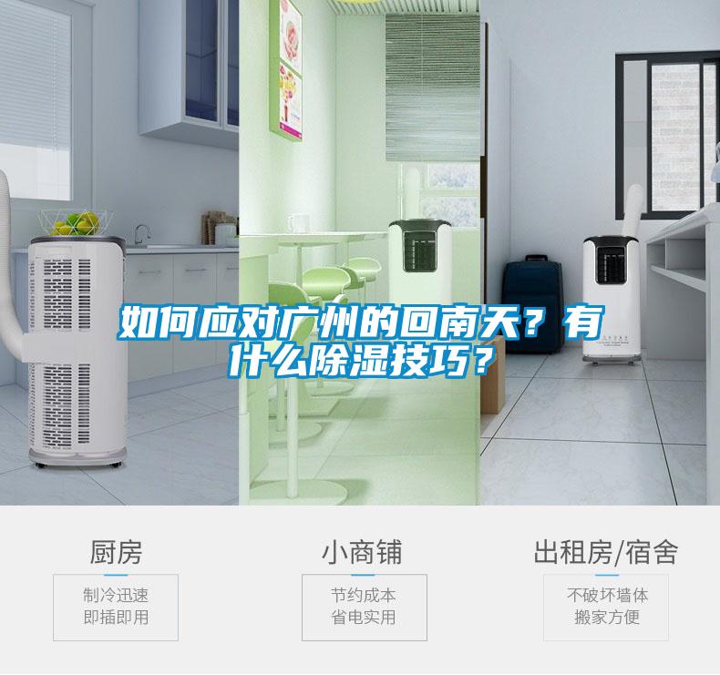 如何應(yīng)對(duì)廣州的回南天？有什么除濕技巧？