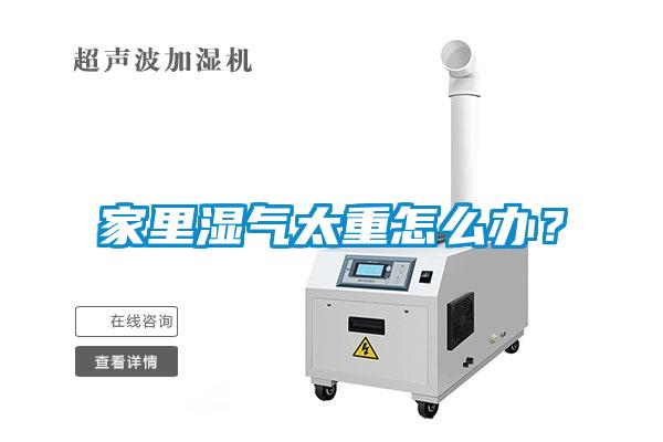 家里濕氣太重怎么辦？