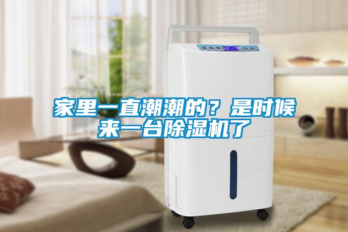家里一直潮潮的？是時(shí)候來一臺除濕機(jī)了