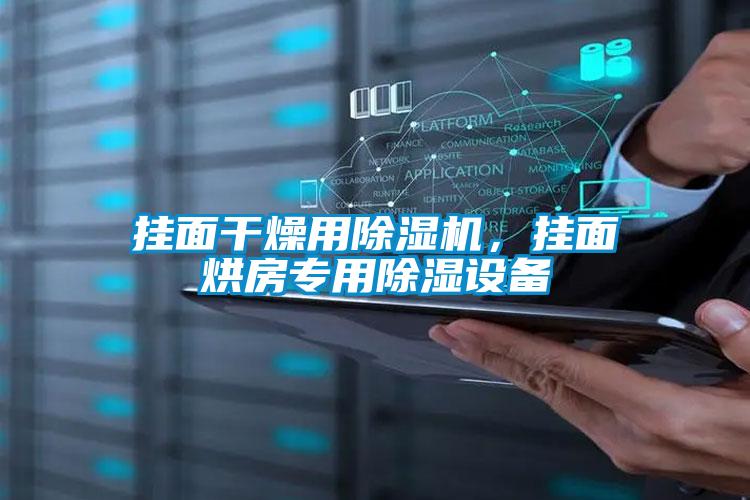 掛面干燥用除濕機，掛面烘房專用除濕設備
