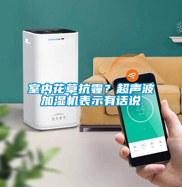 室內花草抗霾？超聲波加濕機表示有話說