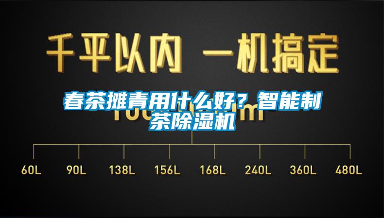 春茶攤青用什么好？智能制茶除濕機