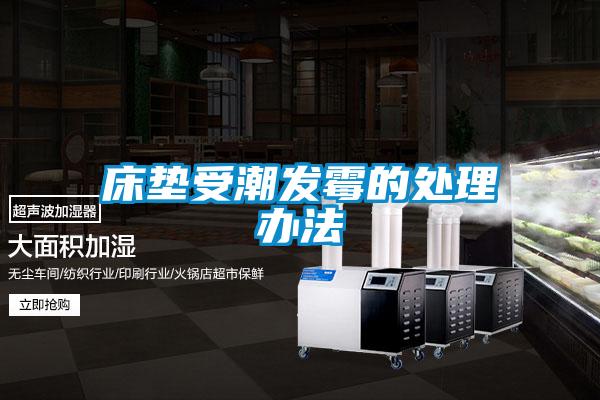 床墊受潮發霉的處理辦法