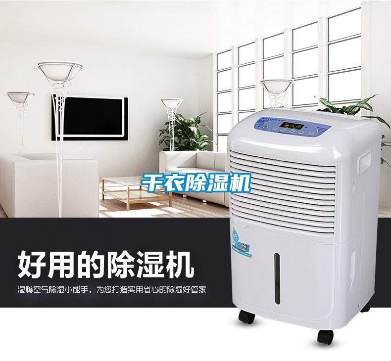 干衣除濕機(jī)