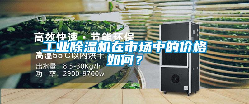 工業(yè)除濕機在市場中的價格如何？