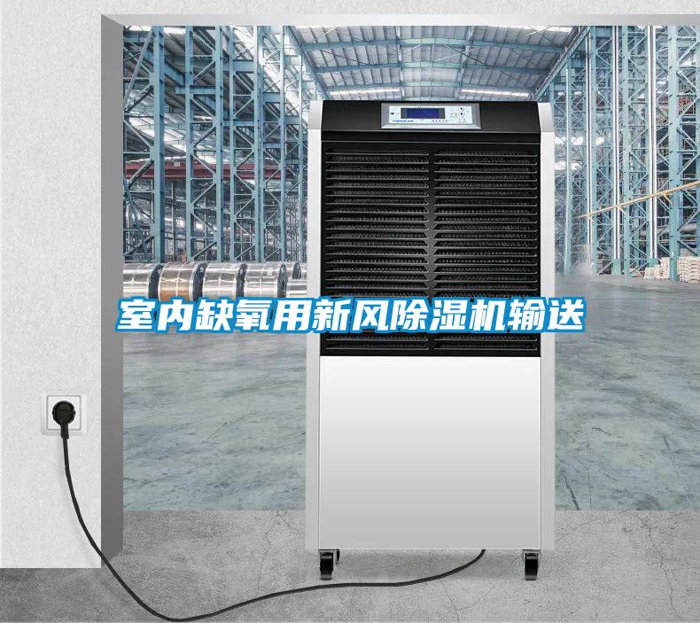 室內缺氧用新風除濕機輸送