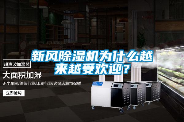 新風除濕機為什么越來越受歡迎？