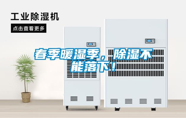 春季暖濕季，除濕不能落下！