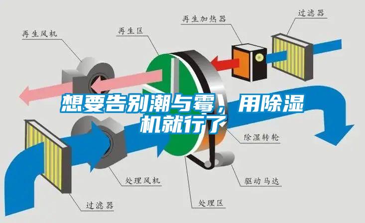 想要告別潮與霉，用除濕機(jī)就行了