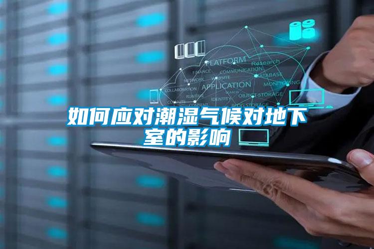 如何應對潮濕氣候對地下室的影響