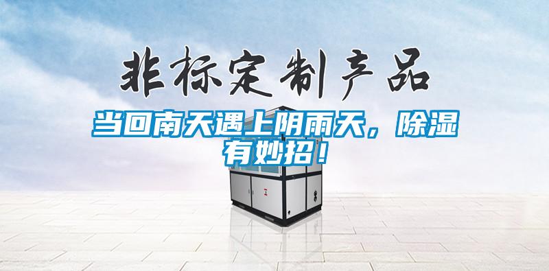 當回南天遇上陰雨天，除濕有妙招！