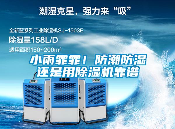 小雨霏霏！防潮防濕還是用除濕機靠譜