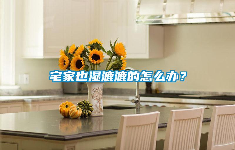 宅家也濕漉漉的怎么辦？