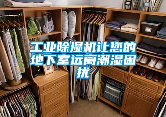 工業除濕機讓您的地下室遠離潮濕困擾