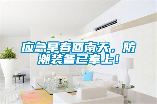 應急早春回南天，防潮裝備已奉上！