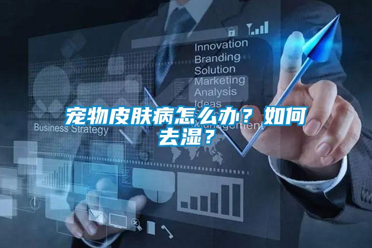 寵物皮膚病怎么辦？如何去濕？