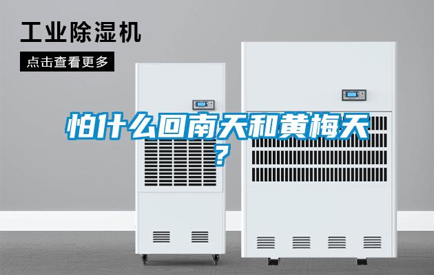 怕什么回南天和黃梅天？